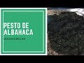 Receta: Cómo preparar el Pesto de Albahaca | Basil Pesto