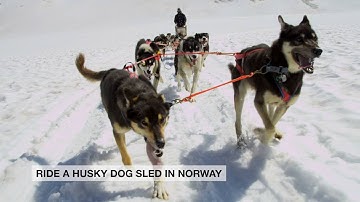 Scratch map video for Luckies of London