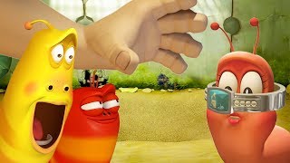 larva the missing ring cartoons comics larva official