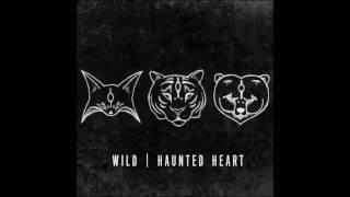 WILD - Haunted Heart chords