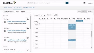 GoldMine Web - overview of all the key features of this new web access to GoldMine