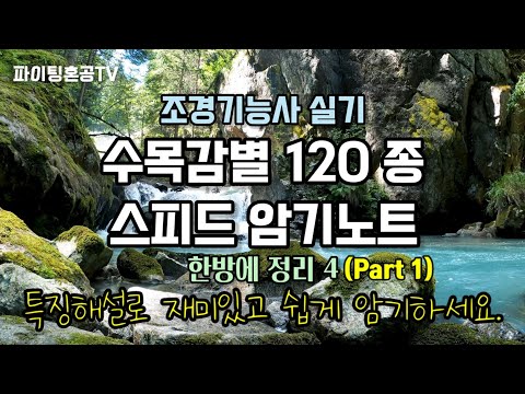 조경기능사 수목감별 한방에 정리 4-Part1 (해설포함)