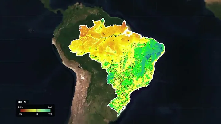 RealLifeLore! What s Hidden Under the Trees of the Amazon Rainforest