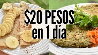 COMIENDO CON 20 PESOS / 1 EURO EN UN DIA  VEGANO