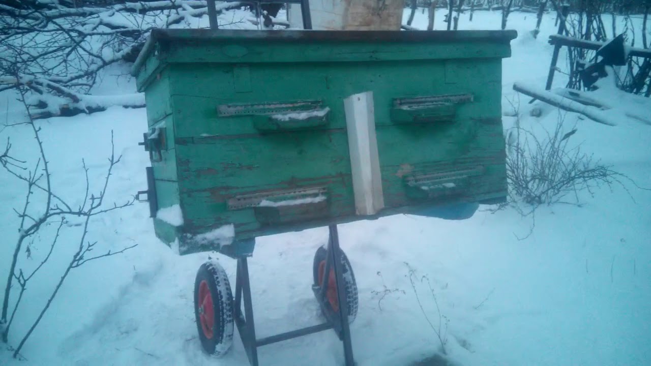 Перевозка ульев в омшанник тележкой Апилифт