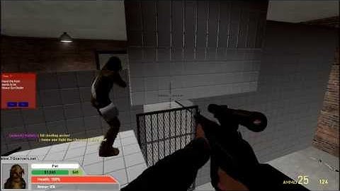 Messing around in DarkRP