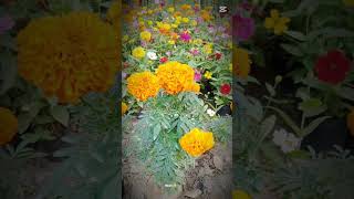 ☠️☠️☠️☠️☠️☠️