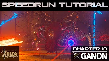 Breath of the Wild Speedrun Tutorial [Chapter 10 / Segment 8 - Ganon]