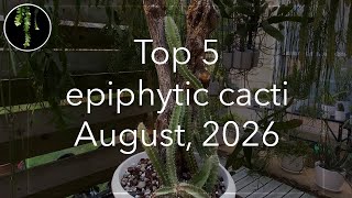 The 5 Cacti Stealing My Attention This Month (August 2026)