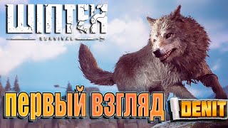 Winter Survival | Зимнее выживание  ( первый взгляд )