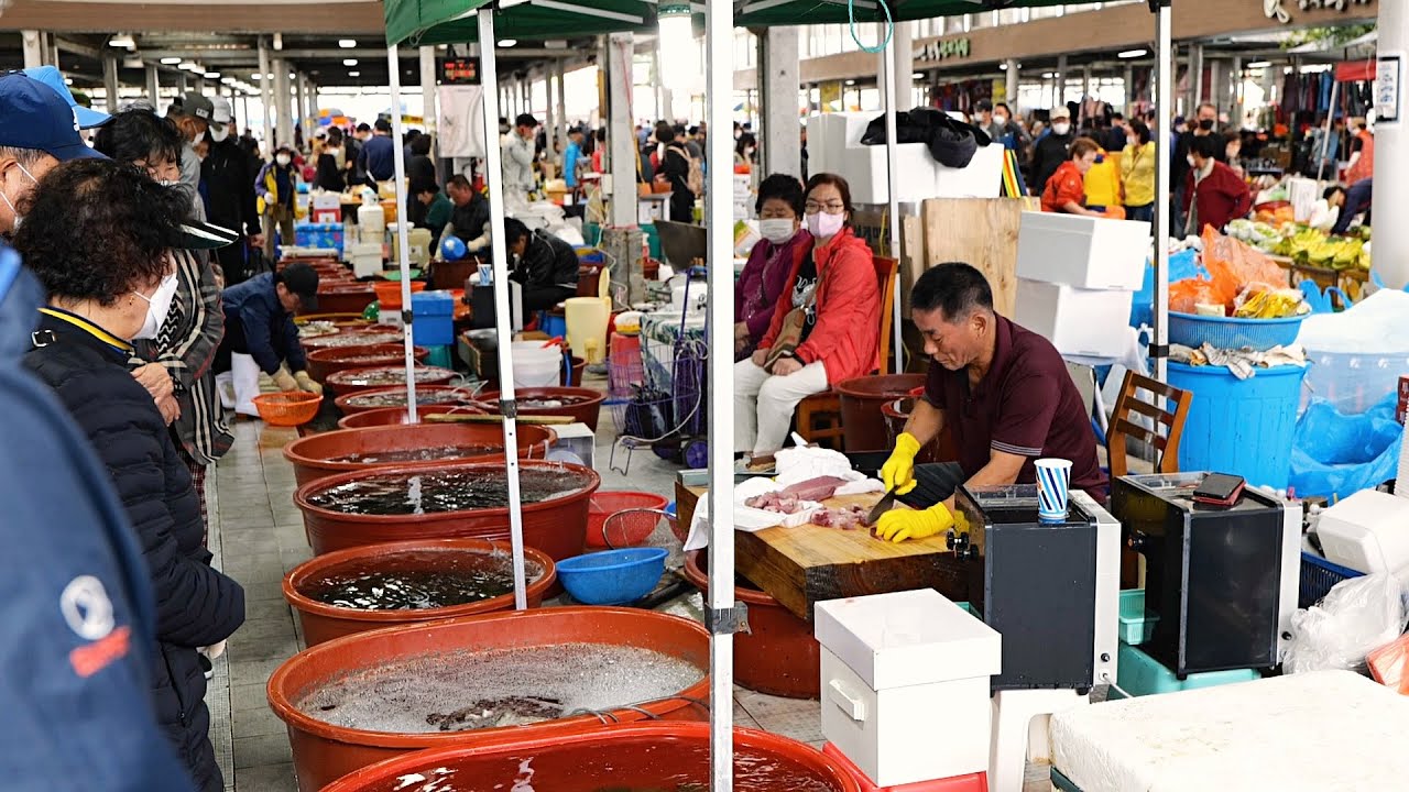 빛의 속도 !전설의 칼잡이! 광어, 방어, 장어 오일장 회집 / Master of sashimi cutting at great speed / Korean street food