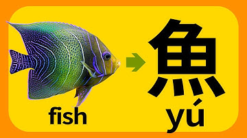 Learn Chinese Characters for Beginners Easy Funny  | The word story of fish