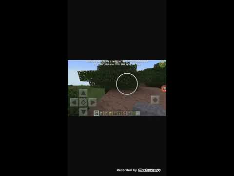 Video: 1 Saniyede Minecraftta Ev Nasıl Yapılır