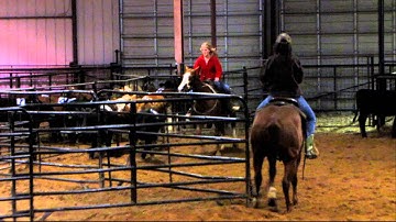 WSR Smartlil Badger - 11/7/12 sorting practice 6 - Valley View Ranch