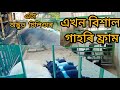 এখন বিশাল গাহৰি ফ্রাম // এটা অদ্ভুত চিলিণ্ডাৰ // কত আছে চাও আহক // #pigfram #pig #nalbari