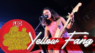 YELLOW FANG @CAT FOODIVAL 5