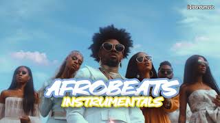 Afrobeats Instrumental Mix 2024 | 1 Hour | Rema, Burna Boy, Ckay, Tems, Wizkid, Ayra Starr, Fireboy