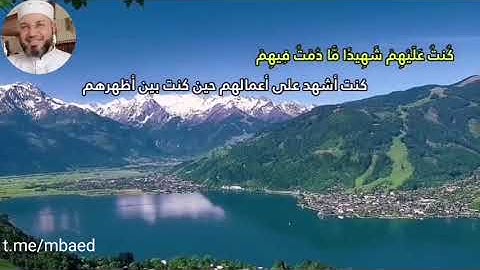 من سورة المائدة 116-120 بصوت الشيخ محمود المبيض