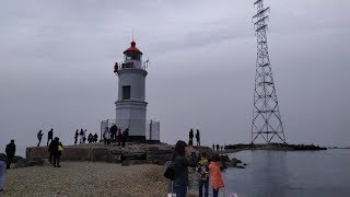 Токаревская кошка