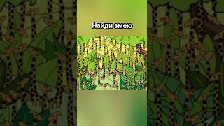 Find the snake #funny #trending #reels #viral #тестнавнимательность #reelsvideo #shorts #short