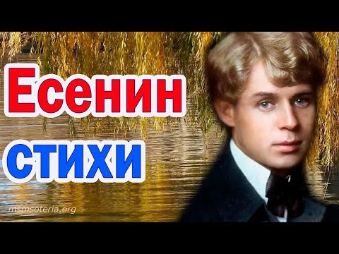 Стихи. Есенин. Не гляди на меня с упреком. 🌹