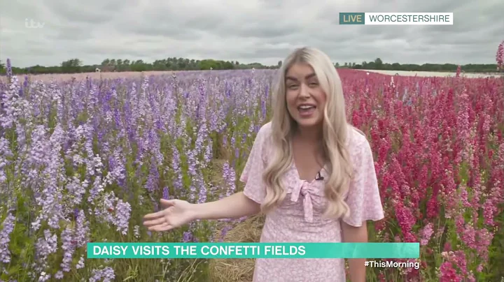 Wicks confetti fields with Daisy Payne - 5th July ...
