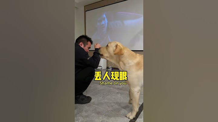 【旺仔很忙🐶Wangzai is budy】狗子：这恐怖片是非看不可吗？Is this horror movie a must-watch?