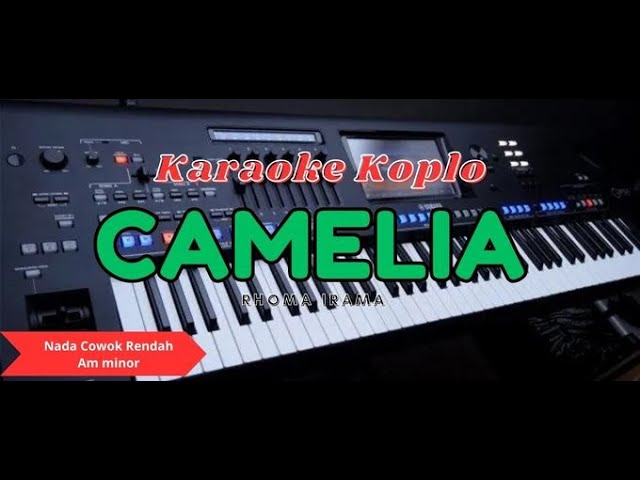 CAMELIA Karaoke Nada Cowok Versi Koplo || Larva Studio Karaoke. class=