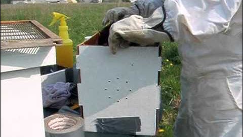 Installing Nucs May 2011 part 1