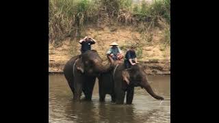 joined video f00005cb96bd44e7a9e28bb9460ccac3