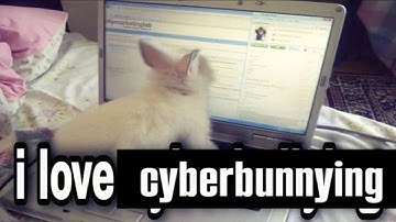 beating a random ultrakill level every day until i come out to my parents (day 117)