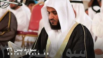 سورة يس ٣٦ مشاري العفاسي Surat Yasin 36 - Mushary AlAfasy