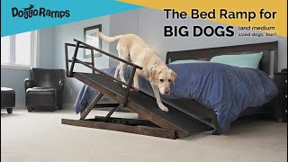 DoggoRamps - The Bed Ramp for Big Dogs! (& Medium Sized Dogs, too!)