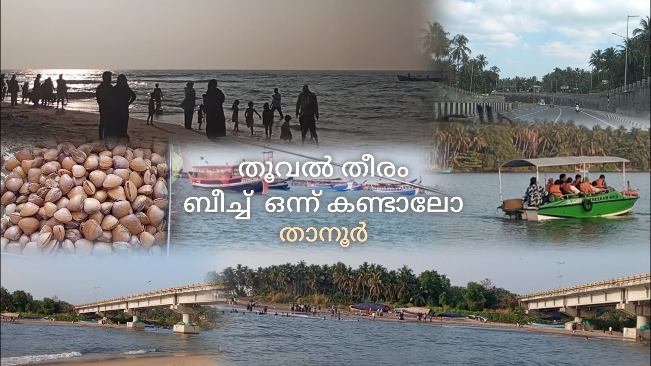 തൂവൽ പോലെ ഒരു ബീച്ചും ജീവനുള്ള എരുന്തും |day out with family