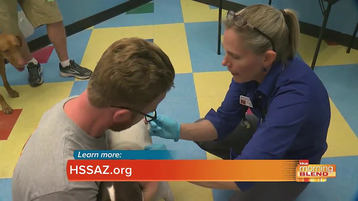 Can I give my dog the flu?