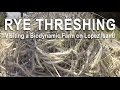 Grain threshing at s  s homestead biodynamic farm on lopez island