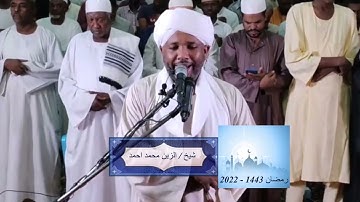 شيخ الزين محمد احمد - سورة النجم