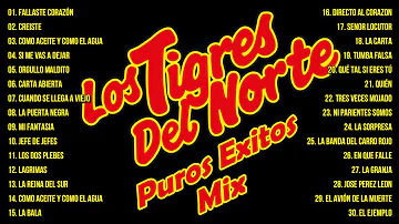 2 Hora De Puros Corridos De Los Tigres Del Norte Éxitos - Los Tigres Del Norte Mix 2024 Pa Pistear