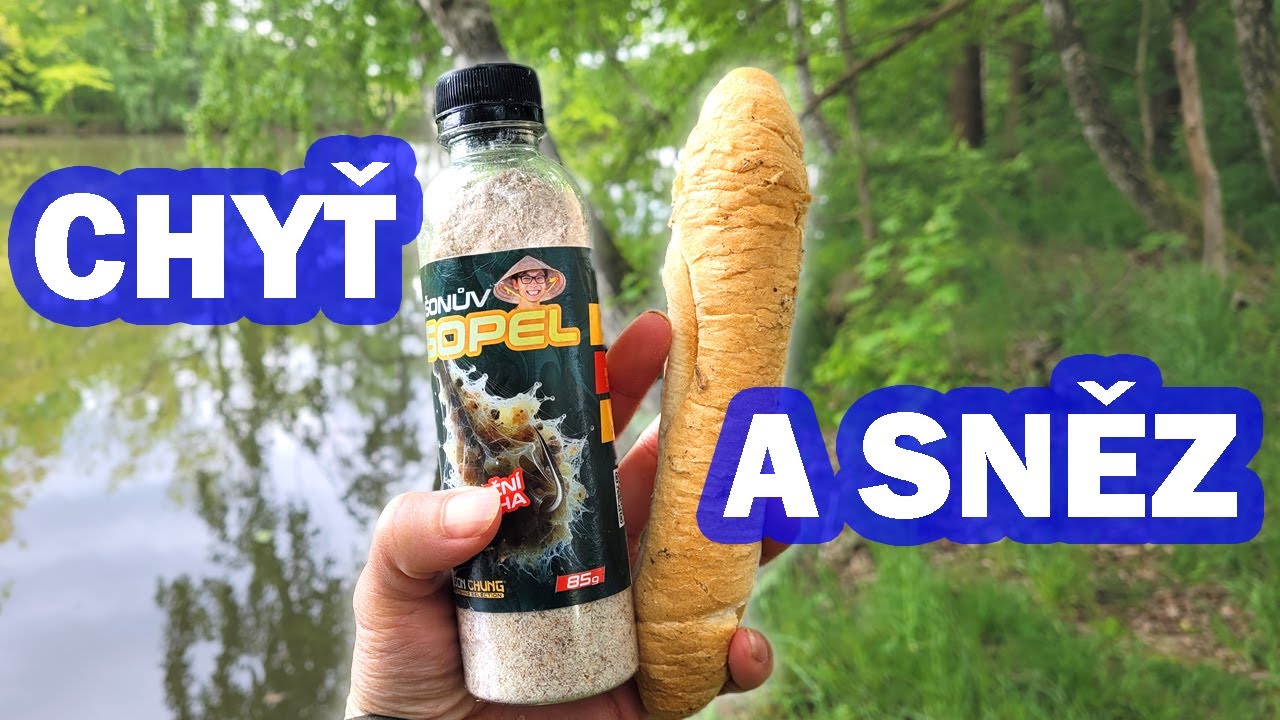 Chyť a SNĚZ - Vysoplený kapr k obědu