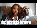 HOW TO ACHIEVE THIS CHESTNUT BROWN! PERFECT HAIR COLOR FOR THE FALL | Ali Pearl Hair