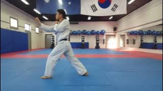 Taeguk 8 'Discipline' Grading Level