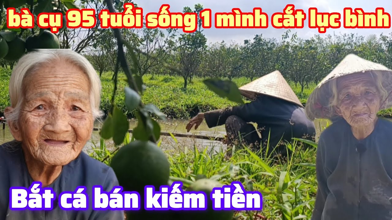 Bà lão 95 tuổi mò cua bắt ốc cắt lục bình , chụp lưới cá bán kiếm tiền , Bột kít kít tv family 