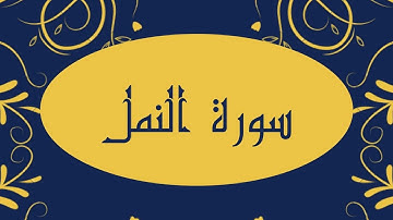 سورة النمل كاملة للقارئ الشيخ صلاح بو خاطر بدقة عالية و صوت هادئ و جميل #quran #القرآن #النمل
