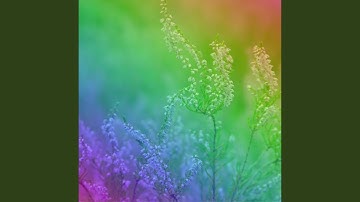 Pulsating Planned Silence