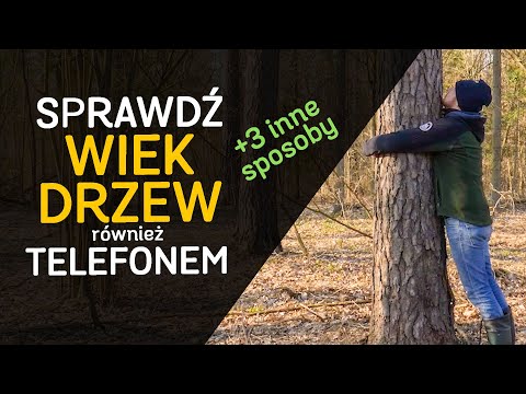 Wideo: Jak Określić Wiek Zwierzęcia