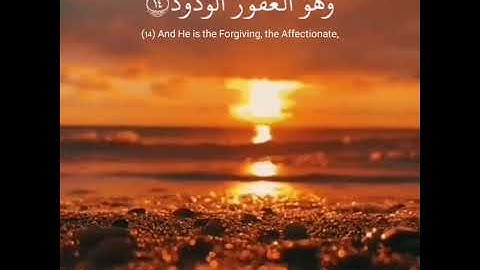 تلاوة خاشعة 😢💕 القارئ إسلام صبحي 🍃ارح سمعك | حالات قرآن كريم . 🍂