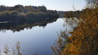 Beautiful nature in the morning on the autumn river | Background music for stress relief and relax