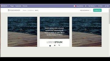 Hover Effects Snippet v14 - Dynamic Column Adjustment Odoo