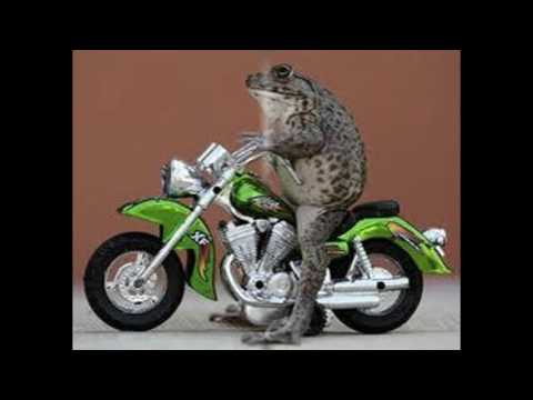 Lagu Paling Sedih Iwan Fals