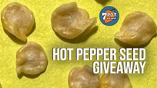 Holiday Hot Pepper Seeds Giveaway ***ENDED*** by 7 Pot Club 2,882 views 2 years ago 5 minutes, 16 seconds